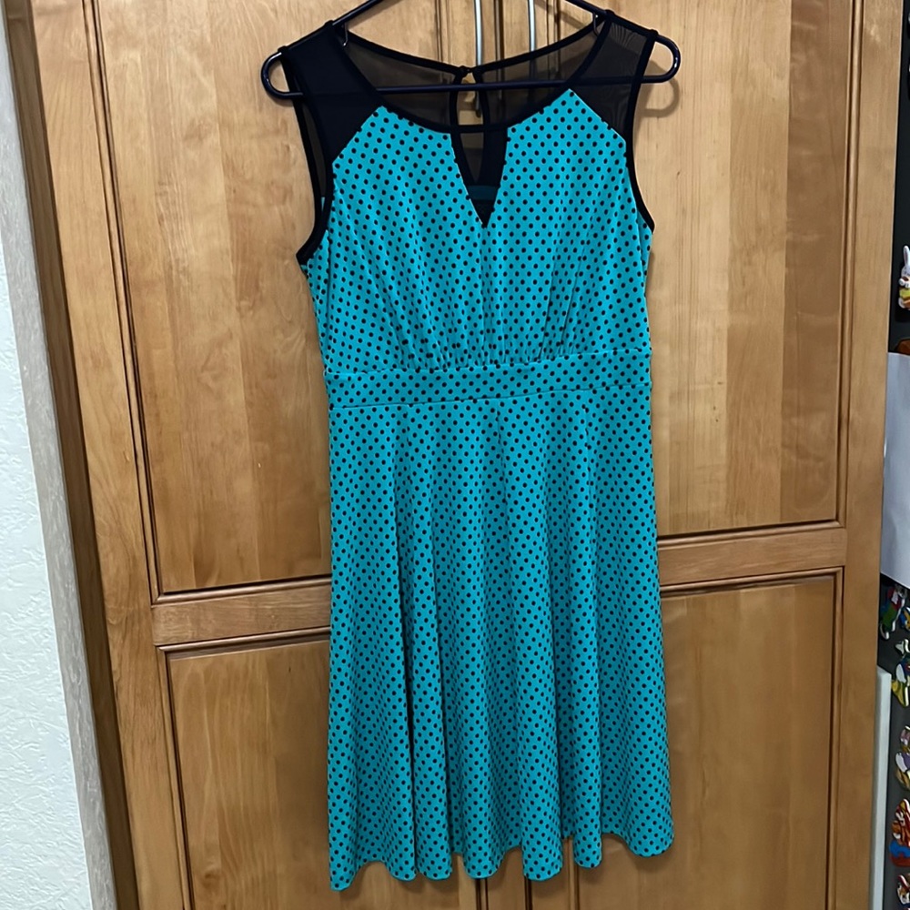Enfocus Studio Sheer Mesh top Flare Dress Size 8